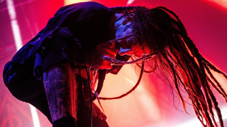 Lamb of God Randy Blythe live 1600x900, Morten Skovgaard